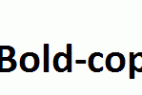 Calibri-Bold-copy-1-.ttf