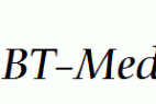 Carmina-Md-BT-Medium-Italic.ttf