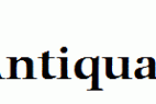 Comenius-Antiqua-Medium.ttf