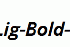 CorpoSLig-Bold-Italic.ttf