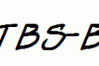 Dealspinner-TBS-Bold-Italic.ttf