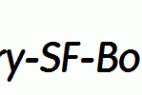 Elementary-SF-Bold-Italic.ttf