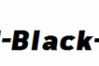 Freeroad-Black-Italic.ttf