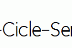 New-Cicle-Semi.ttf