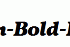 Vollkorn-Bold-Italic.ttf
